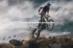 PG电子游戏-葡萄牙梦碎绿茵场 晋级之路阴云密布