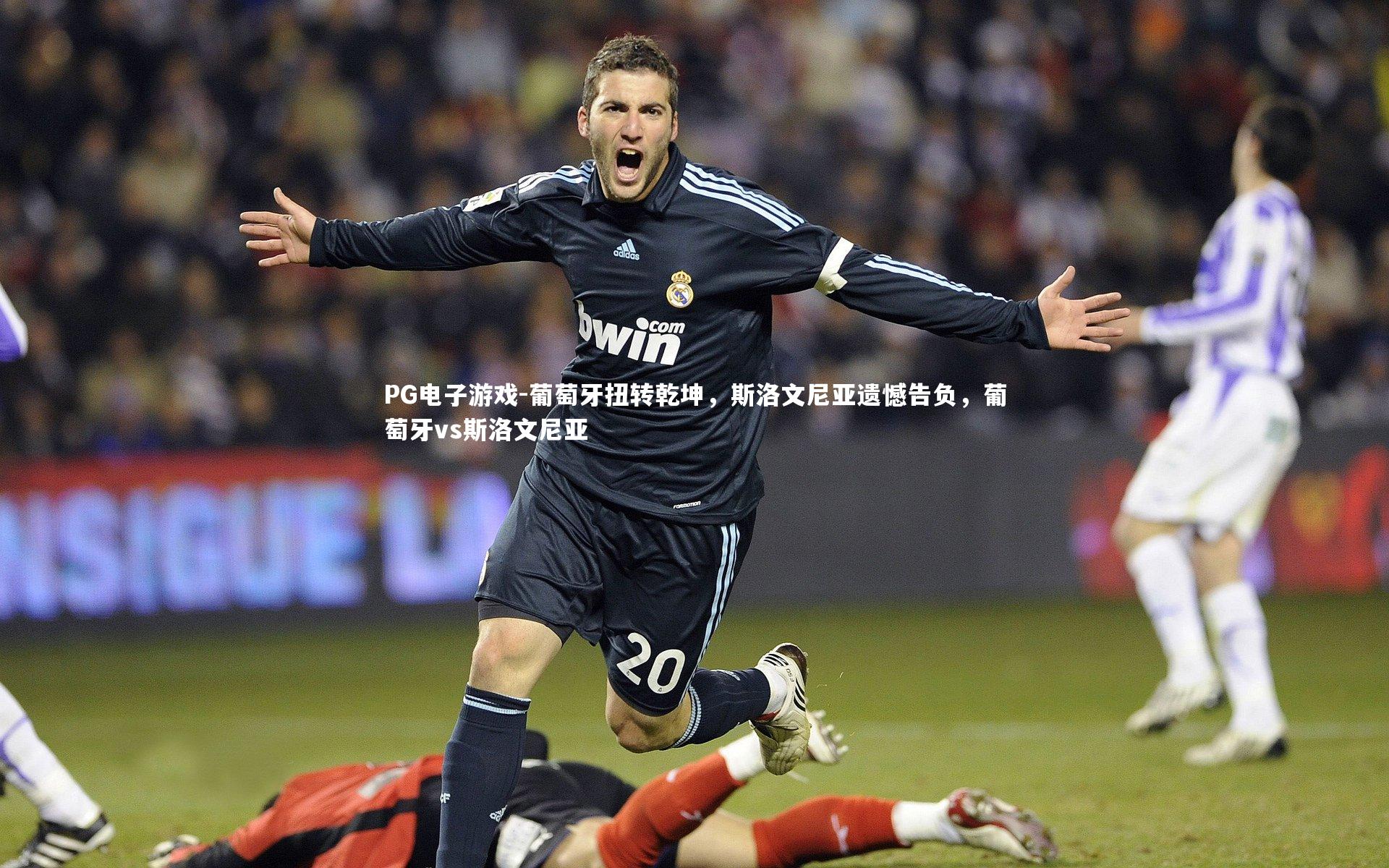 葡萄牙扭转乾坤，斯洛文尼亚遗憾告负，葡萄牙vs斯洛文尼亚
